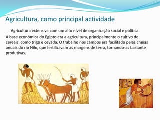 Agricultura, como principal actividadeAgricultura extensiva com um alto nível de organização social e política.A base económica do Egipto era a agricultura, principalmente o cultivo de cereais, como trigo e cevada. O trabalho nos campos era facilitado pelas cheias anuais do rio Nilo, que fertilizavam as margens de terra, tornando-as bastante produtivas. 