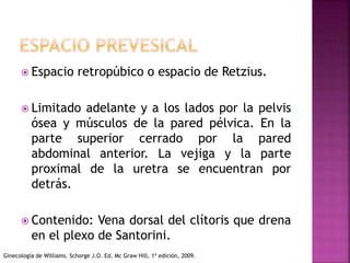  Espacio retropúbico o espacio de Retzius.
 Limitado adelante y a los lados por la pelvis
ósea y músculos de la pared pélvica. En la
parte superior cerrado por la pared
abdominal anterior. La vejiga y la parte
proximal de la uretra se encuentran por
detrás.
 Contenido: Vena dorsal del clítoris que drena
en el plexo de Santorini.
Ginecología de Williams. Schorge J.O. Ed. Mc Graw Hill, 1ª edición, 2009.
 
