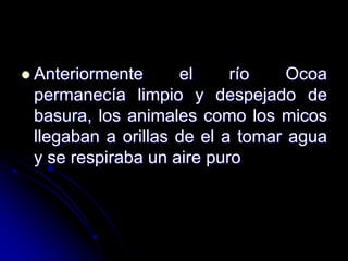 Anteriormente el río Ocoa permanecía limpio y despejado de basura, los animales como los micos llegaban a orillas de el a tomar agua y se respiraba un aire puro