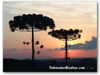 flakavalec@yahoo.com
 