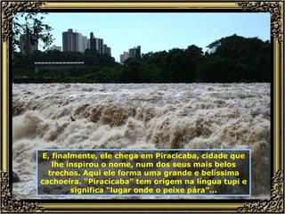 E, finalmente, ele chega em Piracicaba, cidade que lhe inspirou o nome, num dos seus mais belos trechos. Aqui ele forma uma grande e belíssima cachoeira. “Piracicaba” tem origem na língua tupi e significa “lugar onde o peixe pára”... 