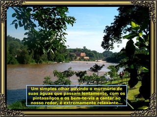 Um simples olhar ouvindo o murmúrio de suas águas que passam lentamente, com os pintassilgos e os bem-te-vis a cantar ao nosso redor, é extremamente relaxante... 