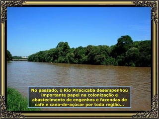 No passado, o Rio Piracicaba desempenhou importante papel na colonização e abastecimento de engenhos e fazendas de café e cana-de-açúcar por toda região... 
