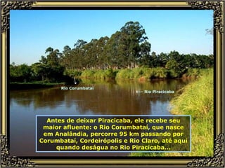 Antes de deixar Piracicaba, ele recebe seu maior afluente: o Rio Corumbataí, que nasce em Analândia, percorre 95 km passando por Corumbataí, Cordeirópolis e Rio Claro, até aqui quando deságua no Rio Piracicaba... ← Rio Piracicaba ← Rio Corumbataí 