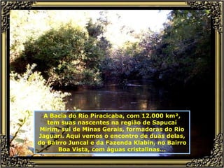 A Bacia do Rio Piracicaba, com 12.000 km², tem suas nascentes na região de Sapucaí Mirim, sul de Minas Gerais, formadoras do Rio Jaguari. Aqui vemos o encontro de duas delas, do Bairro Juncal e da Fazenda Klabin, no Bairro Boa Vista, com águas cristalinas... 