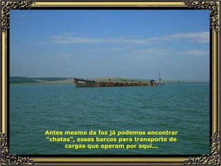 Antes mesmo da foz já podemos encontrar “chatas”, esses barcos para transporte de cargas que operam por aqui... 