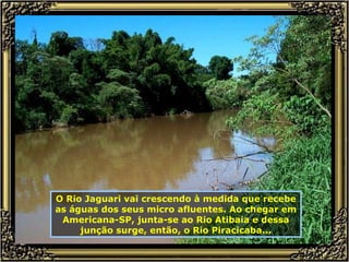 O Rio Jaguari vai crescendo à medida que recebe as águas dos seus micro afluentes. Ao chegar em Americana-SP, junta-se ao Rio Atibaia e dessa junção surge, então, o Rio Piracicaba... 