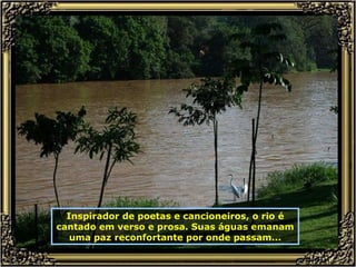 Inspirador de poetas e cancioneiros, o rio é cantado em verso e prosa. Suas águas emanam uma paz reconfortante por onde passam... 