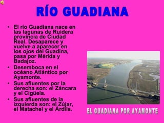 • El río Guadiana nace en
  las lagunas de Ruidera
  provincia de Ciudad
  Real. Desaparece y
  vuelve a aparecer en
  los ojos del Guadina,
  pasa por Mérida y
  Badajoz.
• Desemboca en el
  océano Atlántico por
  Ayamonte.
• Sus afluentes por la
  derecha son: el Záncara
  y el Cigüela.
• Sus afluentes de la
  izquierda son: el Zújar,
  el Matachel y el Árdila.
 