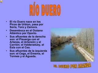 • El río Duero nace en los
  Picos de Urbion, pasa por
  Soria, Toro y Zamora.
• Desemboca en el Océano
  Atlántico por Oporto.
• Sus afluentes de la derecha
  son: el Pisuerga con el
  Arlanza, el Arlanzón y el
  Carrión; el Valderaduey, el
  Esla con el Cea.
• Sus afluentes de la izquierda
  son: el Cega, el Eresma, el
  Tormes y el Águeda.
 