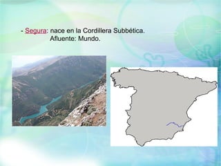 - Segura: nace en la Cordillera Subbética.
          Afluente: Mundo.
 