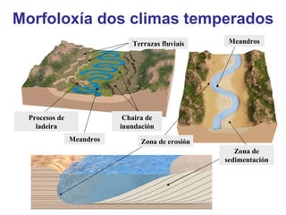 Morfoloxía dos climas temperados Terrazas fluviais Zona de erosión Procesos de ladeira Chaira de inundación Meandros Zona de sedimentación Meandros 