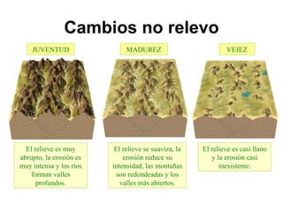 Cambios no relevo JUVENTUD MADUREZ VEJEZ El relieve es muy abrupto, la erosión es muy intensa y los ríos forman valles profundos. El relieve se suaviza, la erosión reduce su intensidad, las montañas son redondeadas y los valles más abiertos. El relieve es casi llano y la erosión casi inexistente. 