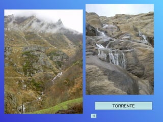 TORRENTE 