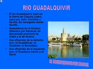 •   El río Guadalquivir nace en
    la Sierra de Cazorla (Jaén),
    pasa por Jaén, Córdoba y
    Sevilla. Es navegable desde
    Sevilla.
•   Desemboca en el Océano
    Atlántico por Sanlúcar de
    Barrameda provincia de
    Cádiz y la de Huelva.
•   Sus afluentes de la derecha
    son: el Guadalimar, el
    Guadiato, el Bembézar.
•   Sus afluentes de la izquierda
    son: el Guadiana menor y el
    Genil.
 