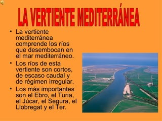• La vertiente
  mediterránea
  comprende los ríos
  que desembocan en
  el mar mediterráneo.
• Los ríos de esta
  vertiente son cortos,
  de escaso caudal y
  de régimen irregular.
• Los más importantes
  son el Ebro, el Turia,
  el Júcar, el Segura, el
  Llobregat y el Ter.
 