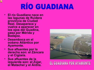 El río Guadiana nace en las lagunas de Ruidera provincia de Ciudad Real. Desaparece y vuelve a aparecer en los ojos del Guadina, pasa por Mérida y Badajoz. Desemboca en el océano Atlántico por Ayamonte. Sus afluentes por la derecha son: el Záncara y el Cigüela. Sus afluentes de la izquierda son: el Zújar, el Matachel y el Árdila.  RÍO GUADIANA EL GUADIANA POR AYAMONTE 