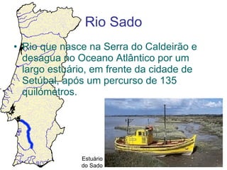 Rio Sado Rio que nasce na Serra do Caldeirão e desagua no Oceano Atlântico por um largo estuário, em frente da cidade de Setúbal, após um percurso de 135 quilómetros. Estuário do Sado 