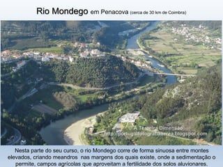 Rio Mondego em Penacova (cerca de 30 km de Coimbra)
Nesta parte do seu curso, o rio Mondego corre de forma sinuosa entre montes
elevados, criando meandros nas margens dos quais existe, onde a sedimentação o
permite, campos agrícolas que aproveitam a fertilidade dos solos aluvionares.
 