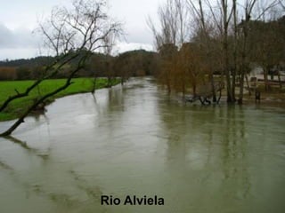 Rio Alviela
 
