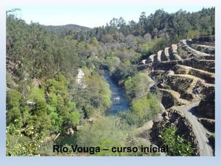 Rio Vouga – curso inicial
 