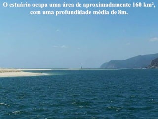 O estuário ocupa uma área de aproximadamente 160 km²,
          com uma profundidade média de 8m.
 