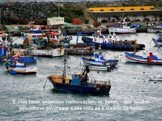 É com estas pequenas embarcações, os botes, que muitos
   pescadores governam a sua vida no Estuário do Sado.
 