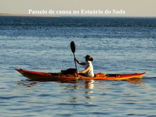 Passeio de canoa no Estuário do Sado
 
