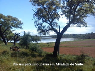 No seu percurso, passa em Alvalade do Sado.
 