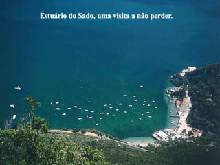 Estuário do Sado, uma visita a não perder.
 