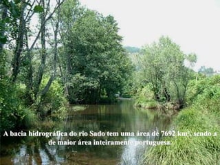 A bacia hidrográfica do rio Sado tem uma área de 7692 km², sendo a
              de maior área inteiramente portuguesa.
 