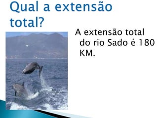 A extensão total
 do rio Sado é 180
 KM.
 