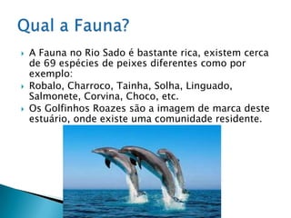    A Fauna no Rio Sado é bastante rica, existem cerca
    de 69 espécies de peixes diferentes como por
    exemplo:
   Robalo, Charroco, Tainha, Solha, Linguado,
    Salmonete, Corvina, Choco, etc.
   Os Golfinhos Roazes são a imagem de marca deste
    estuário, onde existe uma comunidade residente.
 