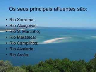 Os seus principais afluentes são: Rio Xarrama; Rio Alcáçovas; Rio S. Martinho; Rio Marateca: Rio Campilhos; Rio Alvalade; Rio Arcão. 