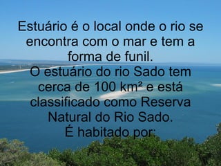 Estuário é o local onde o rio se encontra com o mar e tem a forma de funil. O estuário do rio Sado tem cerca de 100 km ²  e está classificado como Reserva Natural do Rio Sado. É habitado por: 