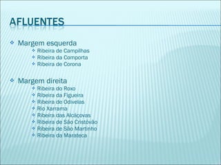  Margem esquerda
 Ribeira de Campilhas
 Ribeira da Comporta
 Ribeira de Corona
 Margem direita
 Ribeira do Roxo
 Ribeira da Figueira
 Ribeira de Odivelas
 Rio Xarrama
 Ribeira das Alcáçovas
 Ribeira de São Cristóvão
 Ribeira de São Martinho
 Ribeira da Marateca
 