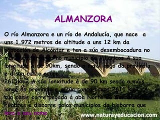 ALMANZORA
O río Almanzora e un río de Andalucía, que nace a
uns 1.972 metros de altitude a uns 12 km da
poboación de Alcóntar e ten a súa desembocadura no
mar Mediterráneo no municipio de Villaricos.A sua
lonxitude e de 90km, sendo o mais longo da provincia
e a sua cunca ocupa
2611km2.A súa lonxitude é de 90 km sendo o máis
longo da provincia e a súa conca ocupa 2611 km2. A
súa canle corre pegada á aba Norte da Serra dos
Filabres e discorre polos municipios da bisbarra que
leva o seu nome

 
