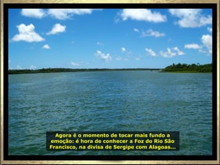 Agora é o momento de tocar mais fundo a
emoção: é hora de conhecer a Foz do Rio São
Francisco, na divisa de Sergipe com Alagoas...
 