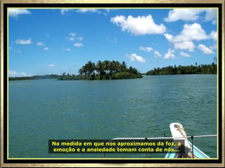 Na medida em que nos aproximamos da foz, a
emoção e a ansiedade tomam conta de nós...
 
