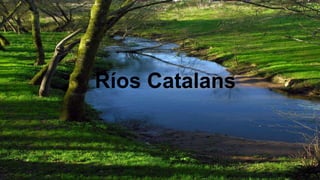 Ríos Catalans

 