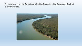 Os principais rios da Amazônia são: Rio Tocantins, Rio Araguaia, Rio Iriri
e Rio Machado.
 
