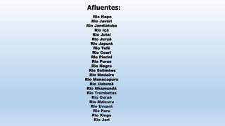 Rio Napo
Rio Javari
Rio Jandiatuba
Rio Içá
Rio Jutaí
Rio Juruá
Rio Japurá
Rio Tefé
Rio Coari
Rio Piorini
Rio Purus
Rio Negro
Rio Solimões
Rio Madeira
Rio Manacapuru
Rio Uatumã
Rio Nhamundá
Rio Trombetas
Rio Curuá
Rio Maicuru
Rio Uruará
Rio Paru
Rio Xingu
Rio Jari
Afluentes:
 