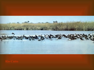 Rio Cuito 