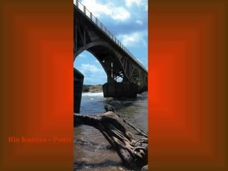Rio Kuanza - Ponte 