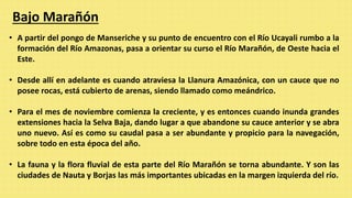 Bajo Marañón
• A partir del pongo de Manseriche y su punto de encuentro con el Río Ucayali rumbo a la
formación del Río Amazonas, pasa a orientar su curso el Río Marañón, de Oeste hacia el
Este.
• Desde allí en adelante es cuando atraviesa la Llanura Amazónica, con un cauce que no
posee rocas, está cubierto de arenas, siendo llamado como meándrico.
• Para el mes de noviembre comienza la creciente, y es entonces cuando inunda grandes
extensiones hacia la Selva Baja, dando lugar a que abandone su cauce anterior y se abra
uno nuevo. Así es como su caudal pasa a ser abundante y propicio para la navegación,
sobre todo en esta época del año.
• La fauna y la flora fluvial de esta parte del Río Marañón se torna abundante. Y son las
ciudades de Nauta y Borjas las más importantes ubicadas en la margen izquierda del río.
 