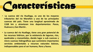 Características
• La cuenca del río Huallaga, es uno de los mayores
tributarios del rio Marañón y una de las principales
cuencas del país. Tiene una longitud aproximada de
1168 km y atraviesan tres departamentos: Pasco,
Huánuco y San Martín .
• La cuenca del río Huallaga, tiene una gran potencial de
los recursos hídricos, por la existencia de lagunas, ríos,
quebradas y manantiales, dando lugar a sub cuencas y
micro cuencas hidrográficas que suministra importantes
servicios ambientales y recursos naturales básicos,
indispensables para el ser humano, flora y fauna.
 