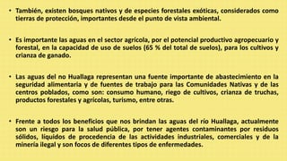 • También, existen bosques nativos y de especies forestales exóticas, considerados como
tierras de protección, importantes desde el punto de vista ambiental.
• Es importante las aguas en el sector agrícola, por el potencial productivo agropecuario y
forestal, en la capacidad de uso de suelos (65 % del total de suelos), para los cultivos y
crianza de ganado.
• Las aguas del no Huallaga representan una fuente importante de abastecimiento en la
seguridad alimentaria y de fuentes de trabajo para las Comunidades Nativas y de las
centros poblados, como son: consumo humano, riego de cultivos, crianza de truchas,
productos forestales y agrícolas, turismo, entre otras.
• Frente a todos los beneficios que nos brindan las aguas del río Huallaga, actualmente
son un riesgo para la salud pública, por tener agentes contaminantes por residuos
sólidos, líquidos de procedencia de las actividades industriales, comerciales y de la
minería ilegal y son focos de diferentes tipos de enfermedades.
 