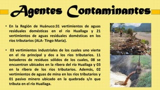 Agentes Contaminantes
• En la Región de Huánuco:31 vertimientos de aguas
residuales domésticas en el río Huallaga y 21
vertimientos de aguas residuales domésticas en los
ríos tributarios (ALA- Tingo María).
• 03 vertimientos industriales de los cuales uno vierte
en el río principal y dos a los ríos tributarios. 11
botaderos de residuos sólidos de los cuales, 08 se
encuentran ubicados en la ribera del río Huallaga y 03
en la ribera de los ríos tributarios. Además, 02
vertimientos de aguas de mina en los ríos tributarios y
01 pasivo minero ubicado en la quebrada s/n que
tributa en el río Huallaga.
 