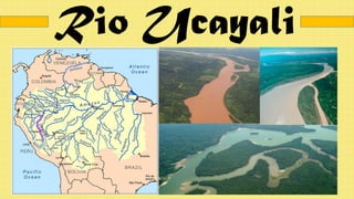 Rio Ucayali
 