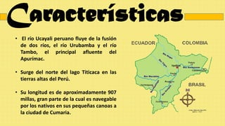 Características
• El río Ucayali peruano fluye de la fusión
de dos ríos, el río Urubamba y el río
Tambo, el principal afluente del
Apurímac.
• Surge del norte del lago Titicaca en las
tierras altas del Perú.
• Su longitud es de aproximadamente 907
millas, gran parte de la cual es navegable
por los nativos en sus pequeñas canoas a
la ciudad de Cumaria.
 
